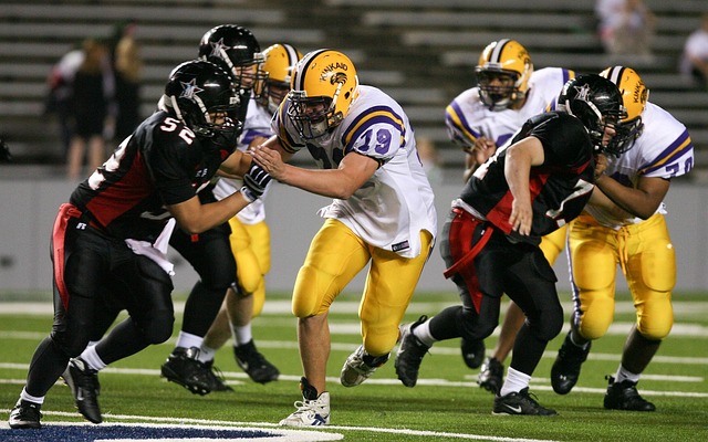 芒特的合同 芒特的合同