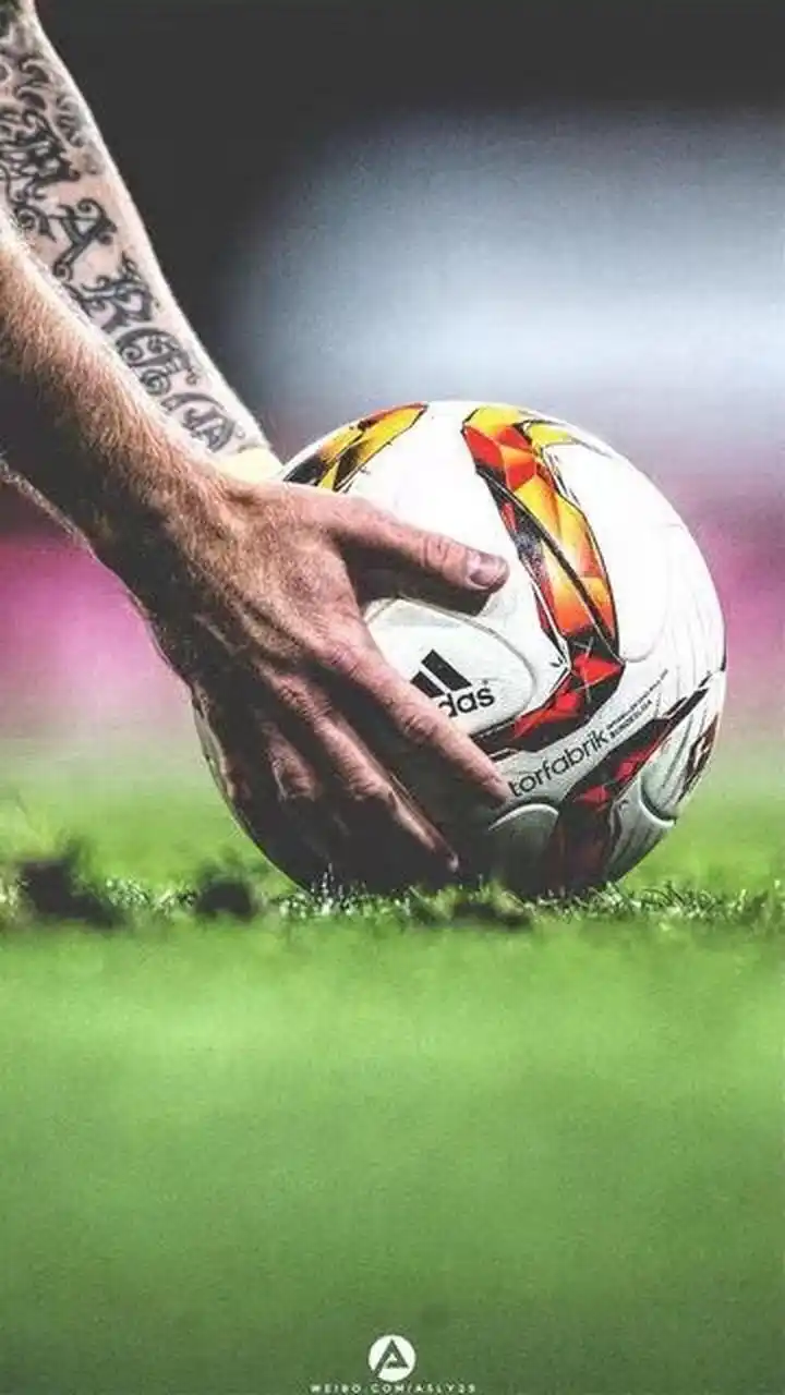 队利用稳固 队利用稳固